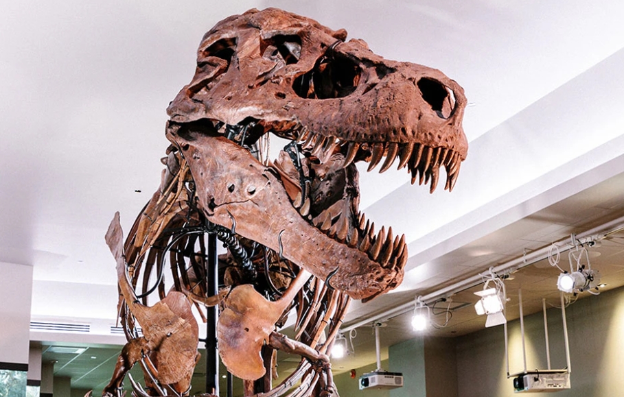 Field Museum